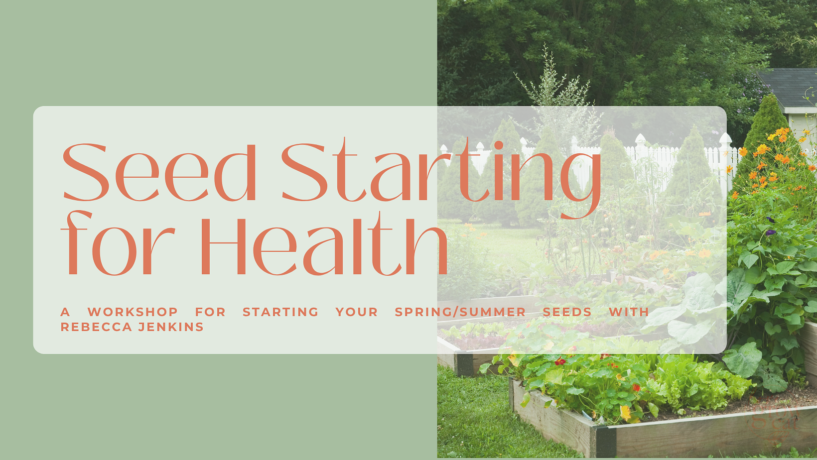 Seed Starting for Health Gardens hero image